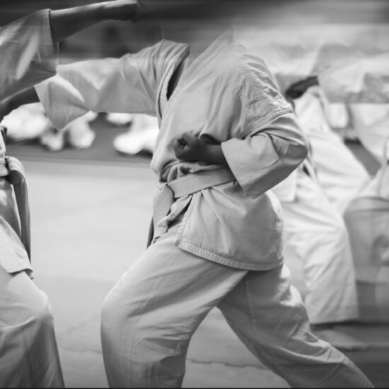 Nippon Kempo….Non solo un'arte marziale